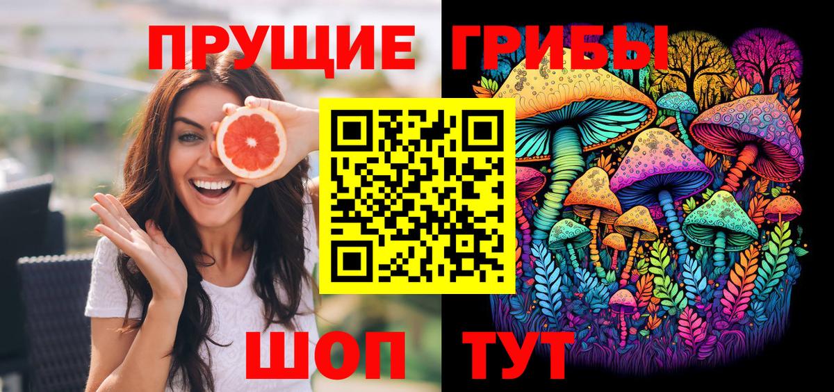 Галлюциногенные грибы Psilocybine cubensis Санкт-Петербург