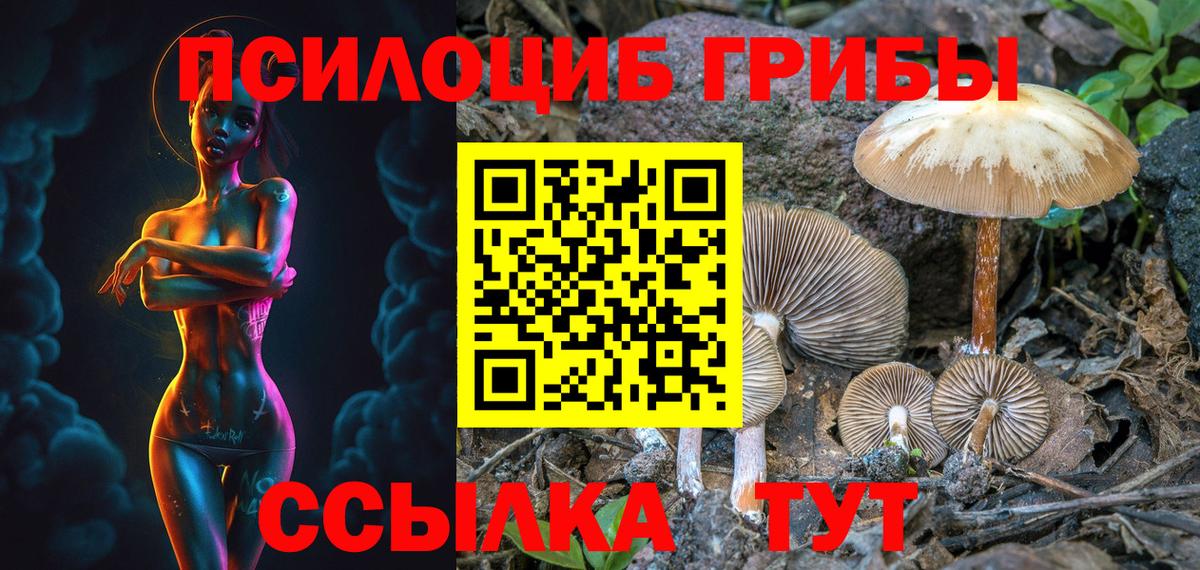 Санкт-Петербург  Галлюциногенные грибы GOLDEN TEACHER  Вход с VPN 